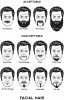 acceptable-beards.jpg