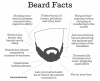 Mashable-Beard-Facts-Comic-1024x838.png