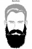 bandholz-beard-styles1-1-300x449.jpg