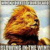 when-you-feel-your-beard-blowing-in-the-wind-meme.jpg