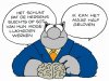 howtomakecartoons-de-kat-cartoon-1308226405.jpg