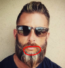 1256eed8d9e8b9b7b21d87b54ae41e19--hipster-beards-awesome-beards.png